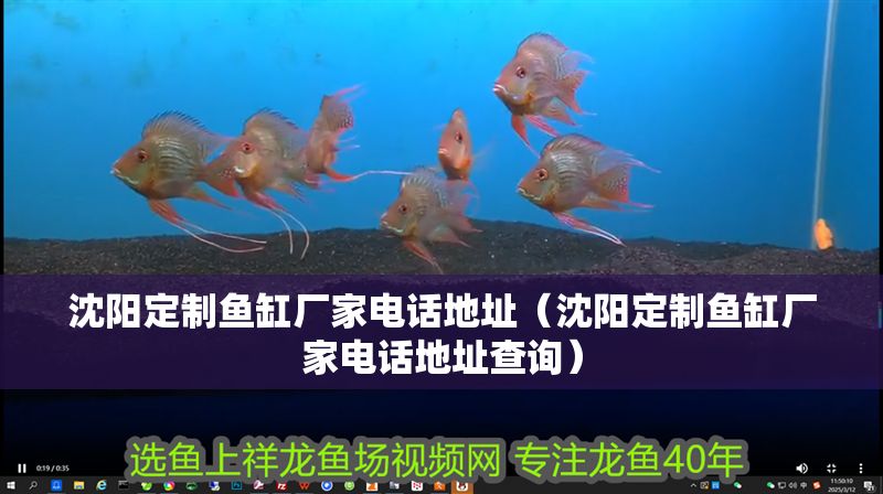 沈陽定制魚缸廠家電話地址（沈陽定制魚缸廠家電話地址查詢）