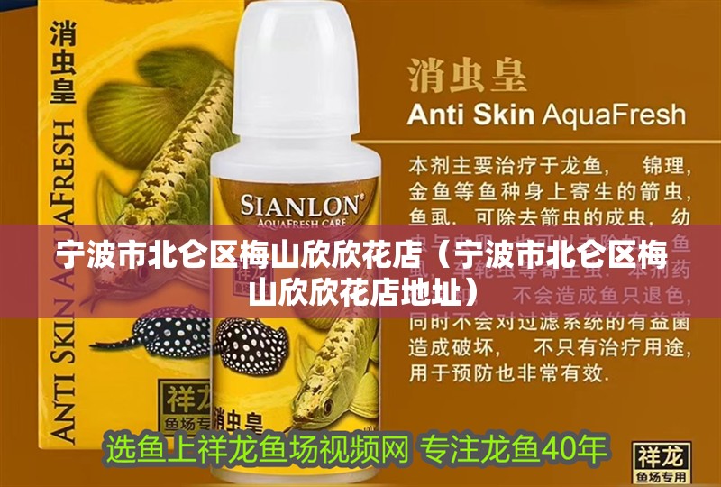 寧波市北侖區(qū)梅山欣欣花店（寧波市北侖區(qū)梅山欣欣花店地址）