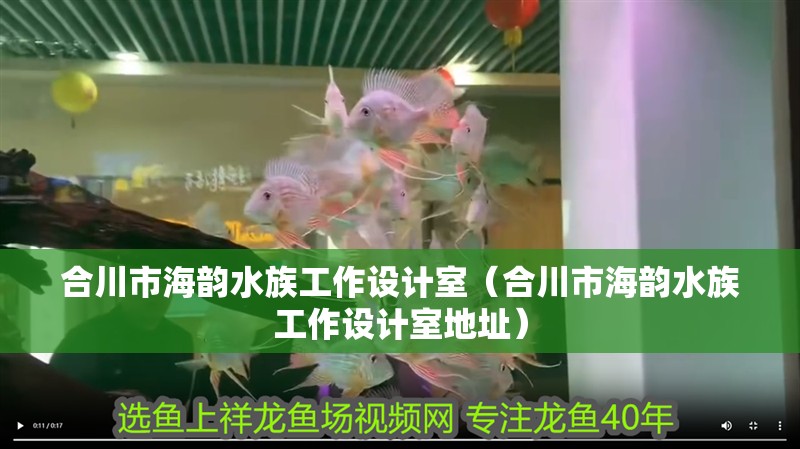 合川市海韻水族工作設計室（合川市海韻水族工作設計室地址）