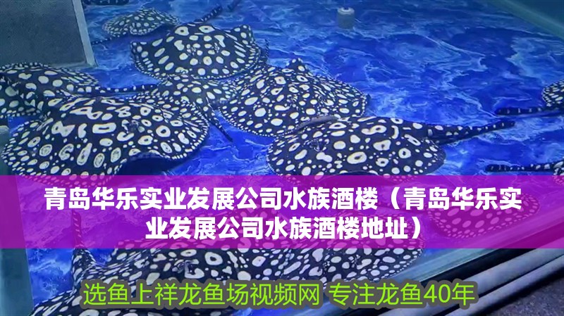 青島華樂實業發展公司水族酒樓（青島華樂實業發展公司水族酒樓地址）