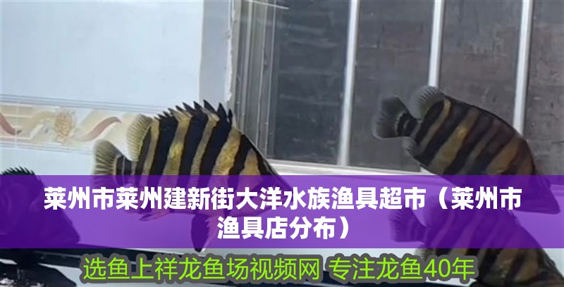 萊州市萊州建新街大洋水族漁具超市(萊州市漁具店分布) 全國水族館企業名錄 第2張 萊州市萊州建新街大洋水族漁具超市(萊州市漁具店分布) 萊州市萊州建新街大洋水族漁具超市(萊州市漁具店分布) 全國水族館企業名錄 第2張