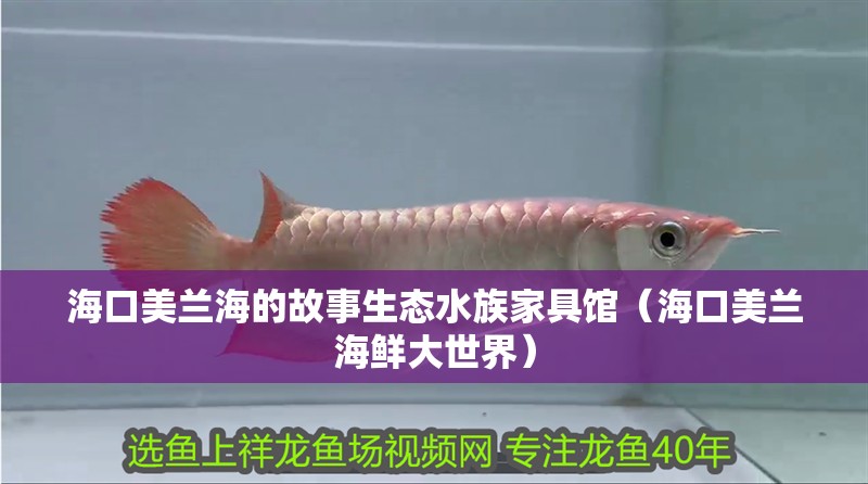 ?？诿捞m海的故事生態水族家具館（海口美蘭海鮮大世界）