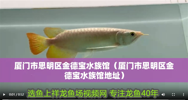 廈門市思明區(qū)金德寶水族館（廈門市思明區(qū)金德寶水族館地址）