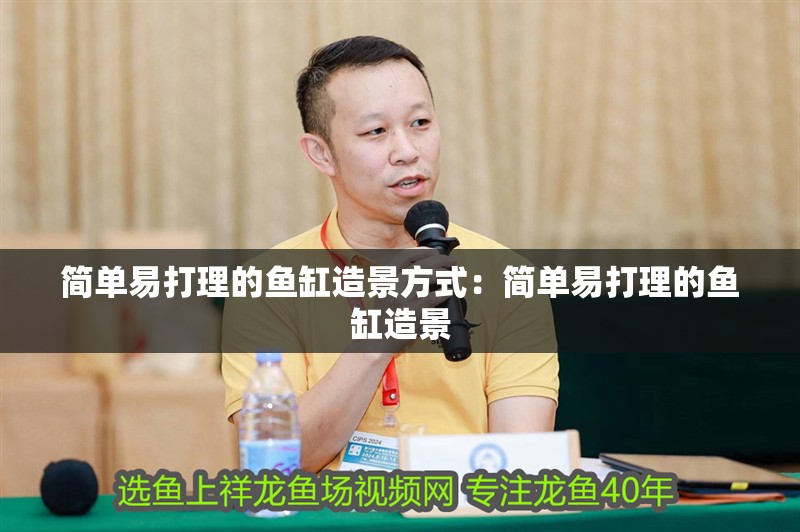 簡單易打理的魚缸造景方式：簡單易打理的魚缸造景