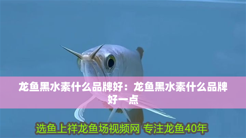 龍魚黑水素什么品牌好：龍魚黑水素什么品牌好一點
