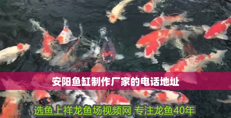 安陽魚缸制作廠家的電話地址
