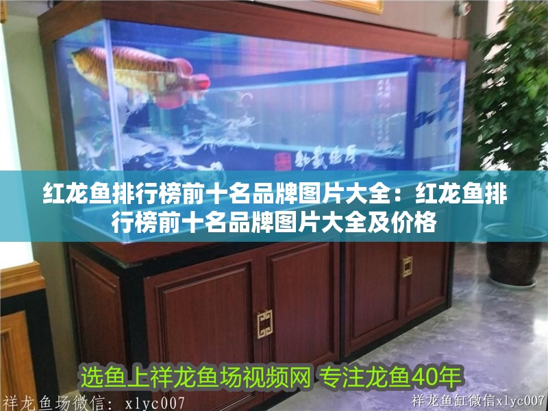 紅龍魚排行榜前十名品牌圖片大全：紅龍魚排行榜前十名品牌圖片大全及價格