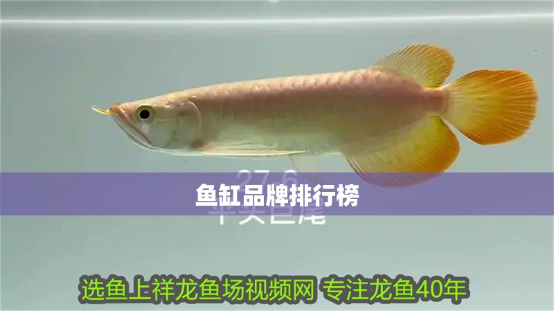 魚缸品牌排行榜