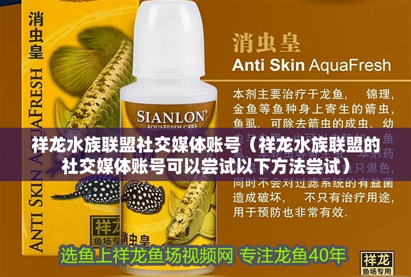 祥龍水族聯盟社交媒體賬號（祥龍水族聯盟的社交媒體賬號可以嘗試以下方法嘗試）