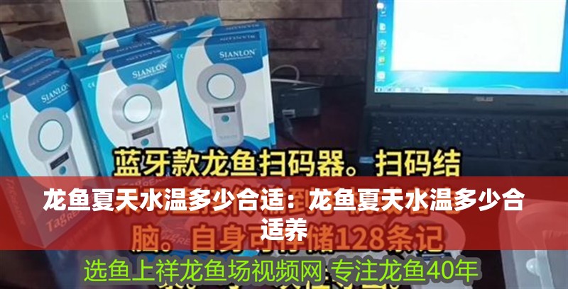 龍魚夏天水溫多少合適：龍魚夏天水溫多少合適養