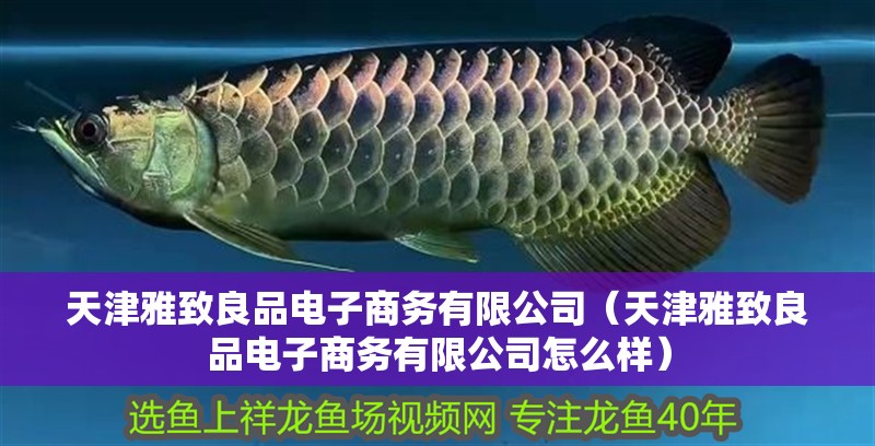 天津雅致良品電子商務有限公司（天津雅致良品電子商務有限公司怎么樣）