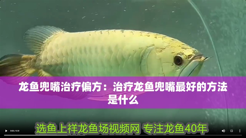 龍魚兜嘴治療偏方：治療龍魚兜嘴最好的方法是什么