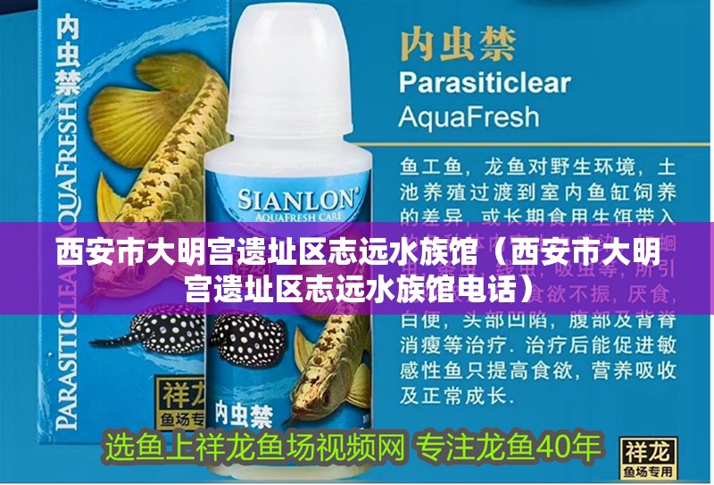 西安市大明宮遺址區志遠水族館（西安市大明宮遺址區志遠水族館電話）