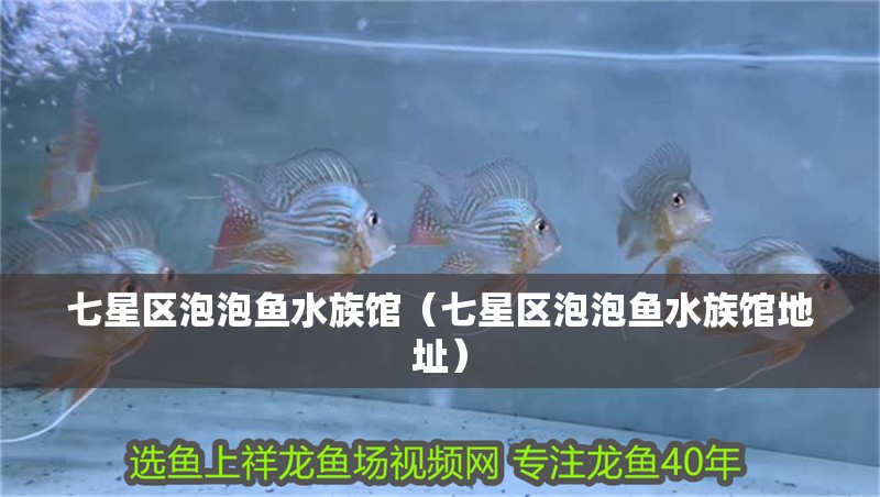 七星區泡泡魚水族館（七星區泡泡魚水族館地址）