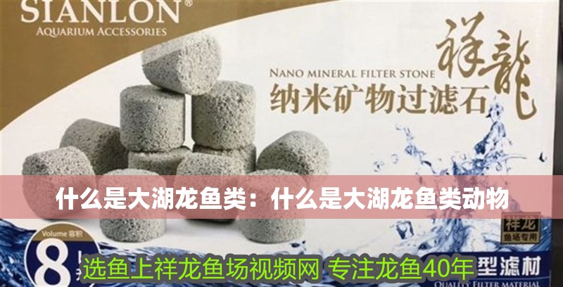 什么是大湖龍魚類：什么是大湖龍魚類動(dòng)物
