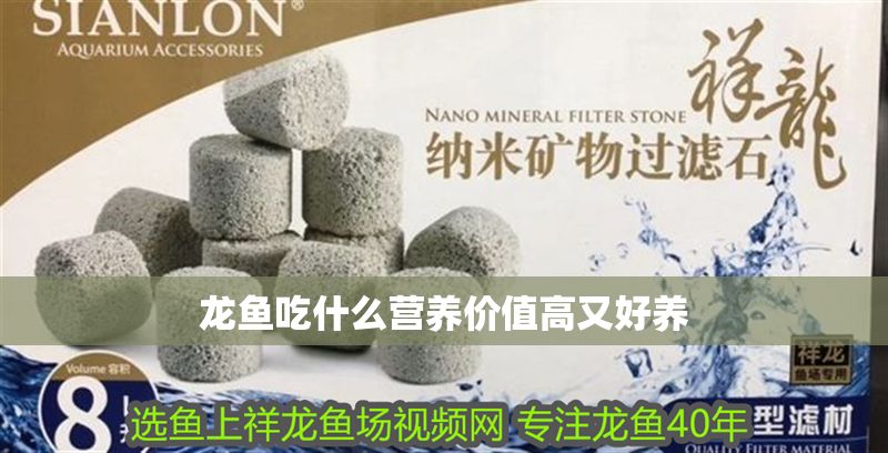 龍魚(yú)吃什么營(yíng)養(yǎng)價(jià)值高又好養(yǎng) 龍魚(yú)吃什么營(yíng)養(yǎng)價(jià)值高又好養(yǎng) 龍魚(yú)百科 第2張
