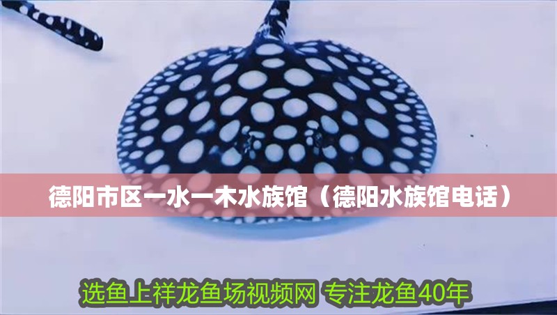德陽市區一水一木水族館(德陽水族館電話)