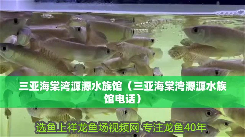 三亞海棠灣源源水族館（三亞海棠灣源源水族館電話）
