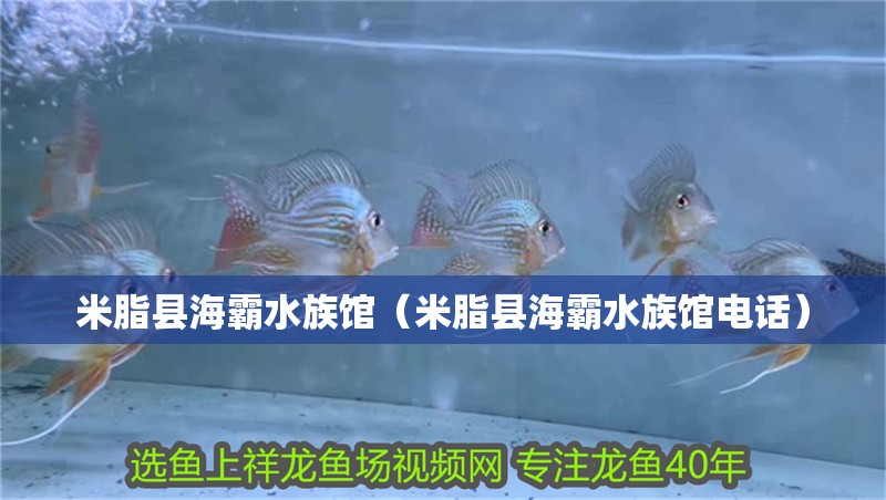米脂縣海霸水族館（米脂縣海霸水族館電話）