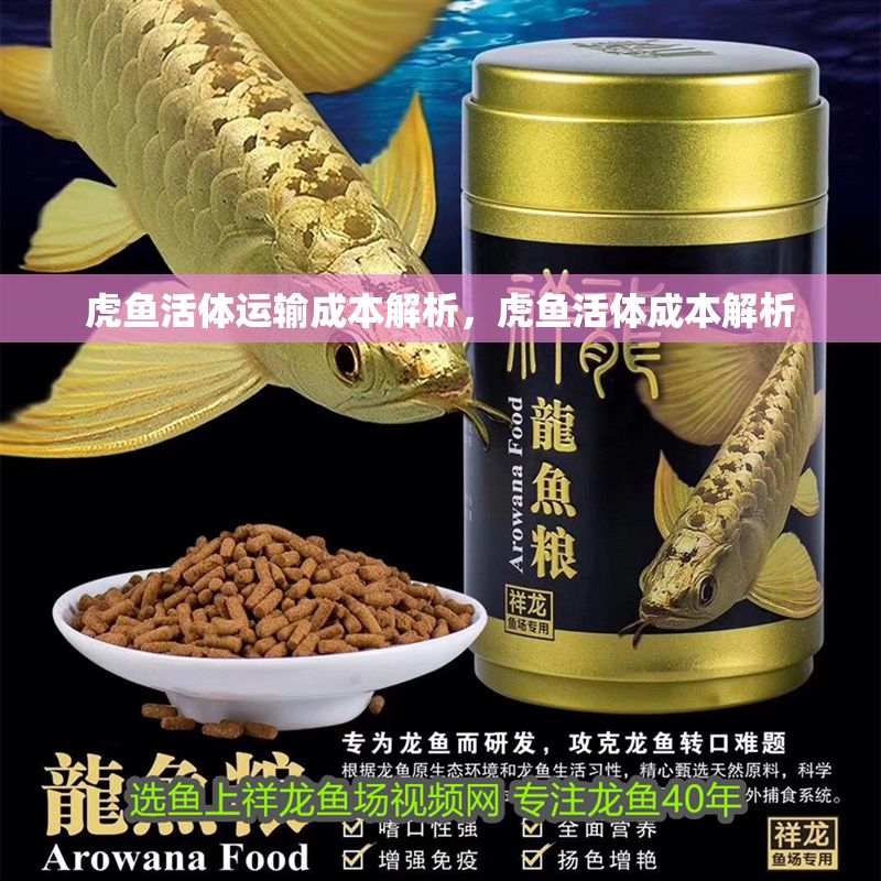 虎魚活體運輸成本解析，虎魚活體成本解析