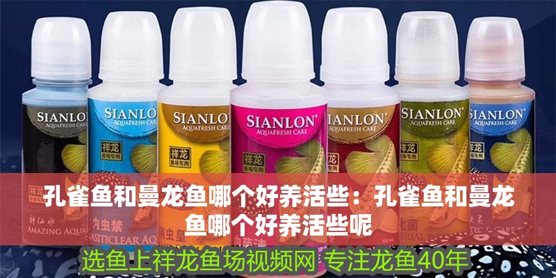 孔雀魚和曼龍魚哪個好養活些：孔雀魚和曼龍魚哪個好養活些呢