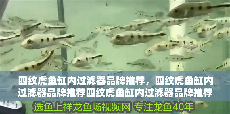 四紋虎魚缸內過濾器品牌推薦,四紋虎魚缸內過濾器品牌推薦四紋虎魚缸內過濾器品牌推薦 虎魚百科 第1張 四紋虎魚缸內過濾器品牌推薦,四紋虎魚缸內過濾器品牌推薦四紋虎魚缸內過濾器品牌推薦 四紋虎魚缸內過濾器品牌推薦,四紋虎魚缸內過濾器品牌推薦四紋虎魚缸內過濾器品牌推薦 虎魚百科 第1張