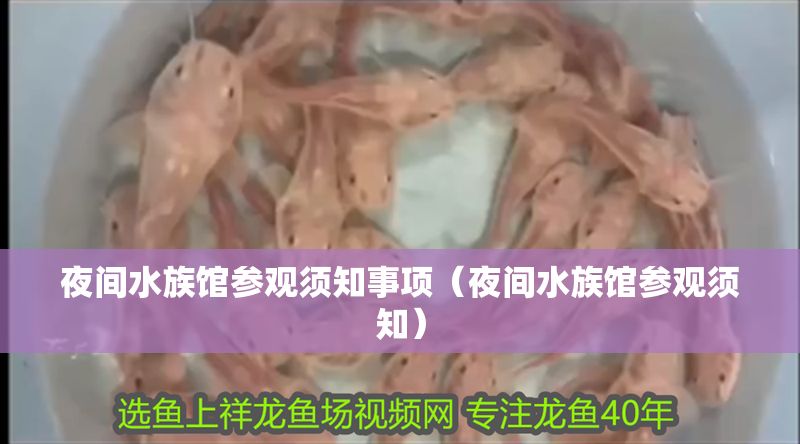 夜間水族館參觀須知事項（夜間水族館參觀須知）