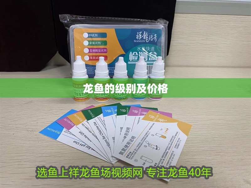 龍魚的級別及價格
