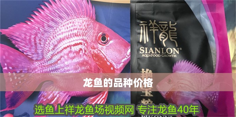 龍魚的品種價格