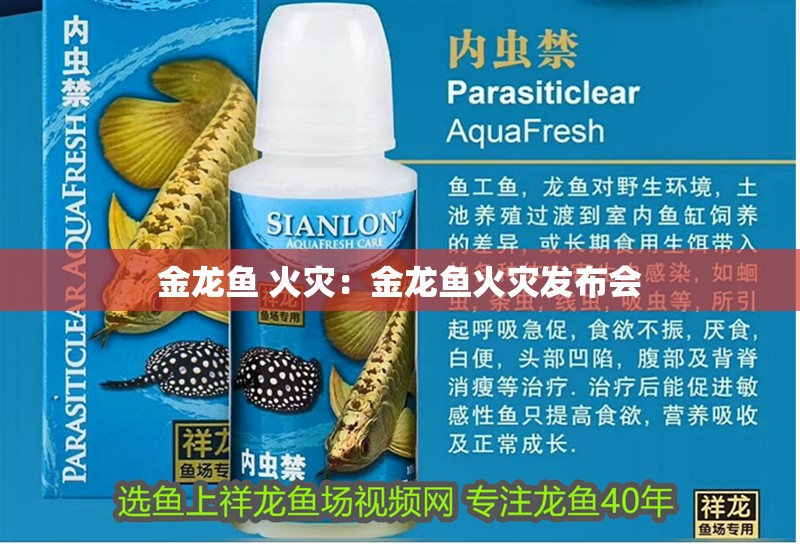 金龍魚 火災：金龍魚火災發布會
