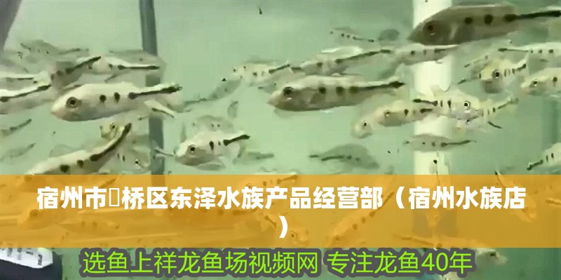 宿州市埇橋區東澤水族產品經營部（宿州水族店）