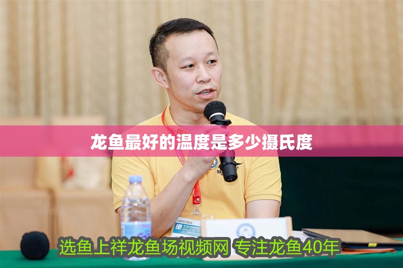 龍魚最好的溫度是多少攝氏度