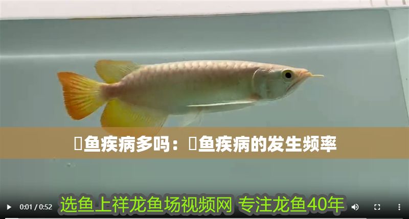 魟魚疾病多嗎：魟魚疾病的發(fā)生頻率 魟魚疾病多嗎：魟魚疾病的發(fā)生頻率 魟魚百科 第2張