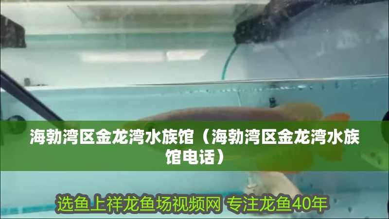 海勃灣區(qū)金龍灣水族館（海勃灣區(qū)金龍灣水族館電話）