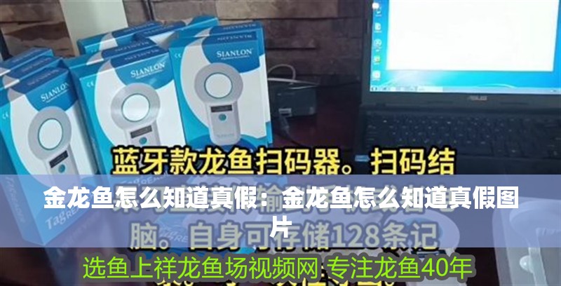 金龍魚怎么知道真假：金龍魚怎么知道真假圖片