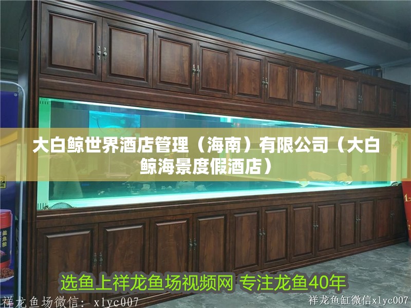 大白鯨世界酒店管理（海南）有限公司（大白鯨海景度假酒店）