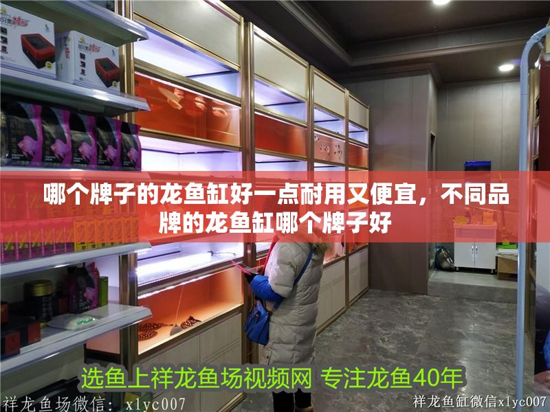 哪個牌子的龍魚缸好一點耐用又便宜，不同品牌的龍魚缸哪個牌子好