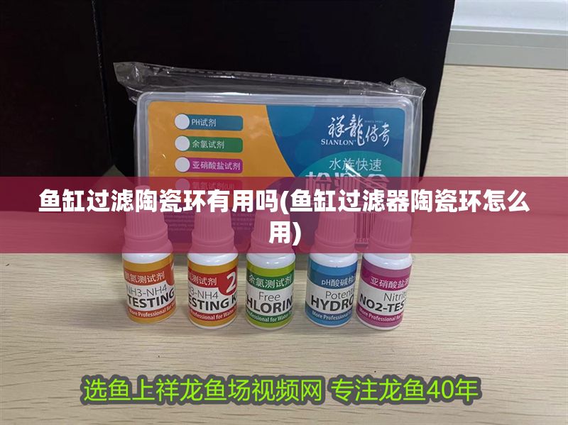 魚(yú)缸過(guò)濾陶瓷環(huán)有用嗎(魚(yú)缸過(guò)濾器陶瓷環(huán)怎么用) 魚(yú)缸過(guò)濾陶瓷環(huán)有用嗎(魚(yú)缸過(guò)濾器陶瓷環(huán)怎么用) 黃金貓魚(yú)百科 第1張