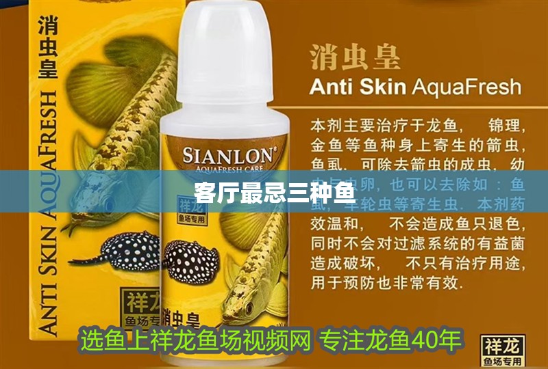 客廳最忌三種魚 客廳最忌三種魚 龍魚百科 第6張