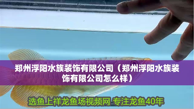 鄭州浮陽水族裝飾有限公司（鄭州浮陽水族裝飾有限公司怎么樣）