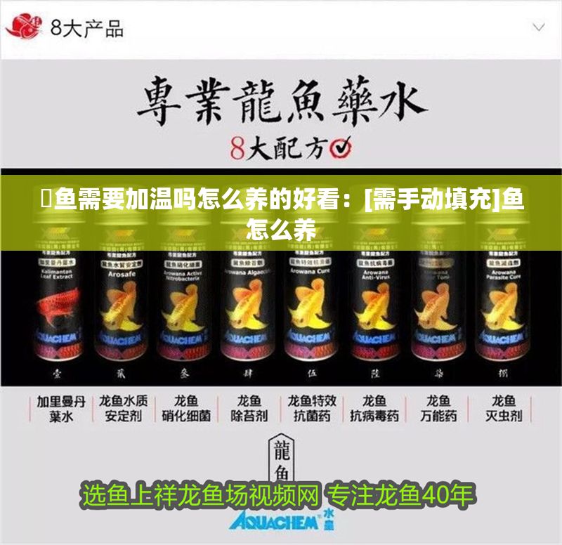 魟魚需要加溫嗎怎么養的好看：[需手動填充]魚怎么養
