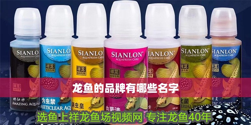 龍魚的品牌有哪些名字