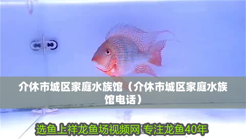 介休市城區家庭水族館（介休市城區家庭水族館電話）