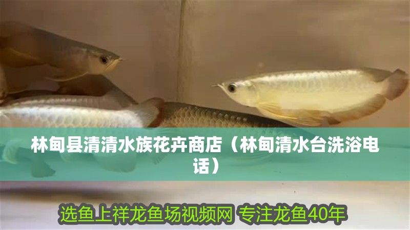 林甸縣清清水族花卉商店(林甸清水臺洗浴電話) 全國水族館企業(yè)名錄 第2張 林甸縣清清水族花卉商店(林甸清水臺洗浴電話) 林甸縣清清水族花卉商店(林甸清水臺洗浴電話) 全國水族館企業(yè)名錄 第2張