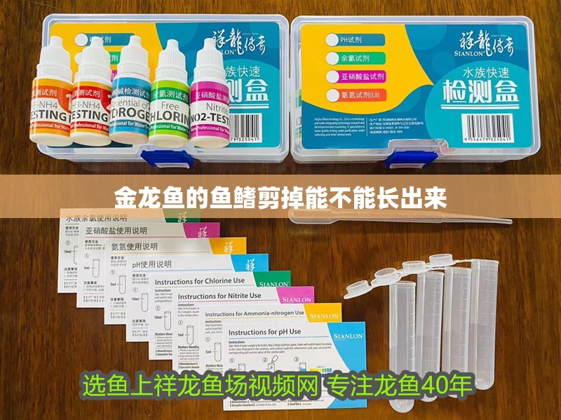 金龍魚的魚鰭剪掉能不能長出來