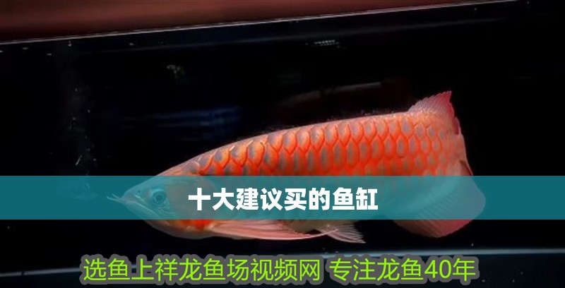十大建議買的魚缸