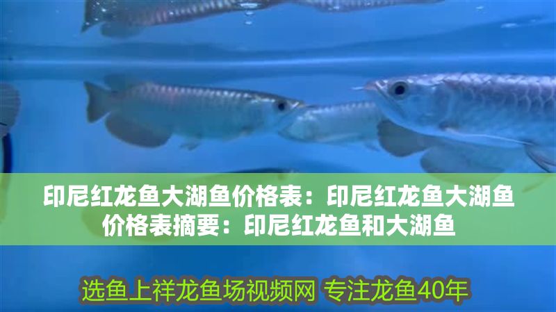 印尼紅龍魚(yú)大湖魚(yú)價(jià)格表：印尼紅龍魚(yú)大湖魚(yú)價(jià)格表摘要：印尼紅龍魚(yú)和大湖魚(yú)