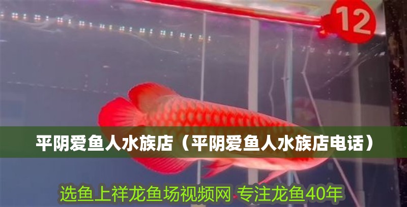 平陰愛魚人水族店（平陰愛魚人水族店電話）