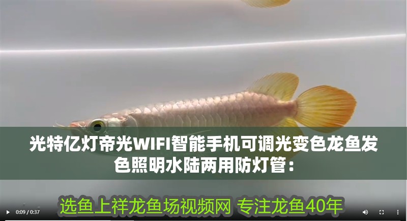 光特億燈帝光WIFI智能手機可調光變色龍魚發色照明水陸兩用防燈管：