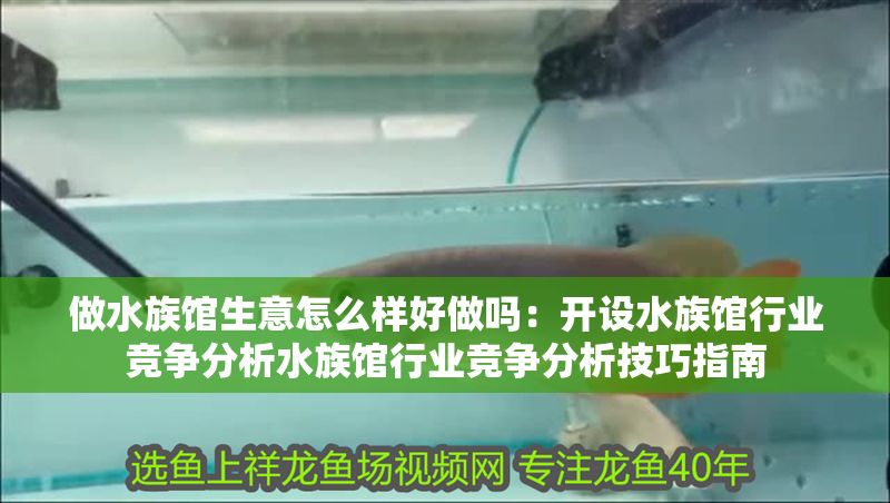 做水族館生意怎么樣好做嗎：開設水族館行業競爭分析水族館行業競爭分析技巧指南